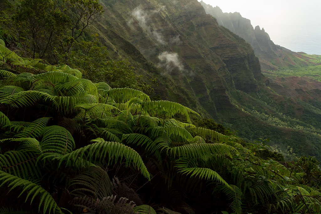 Kauai - 041.jpg